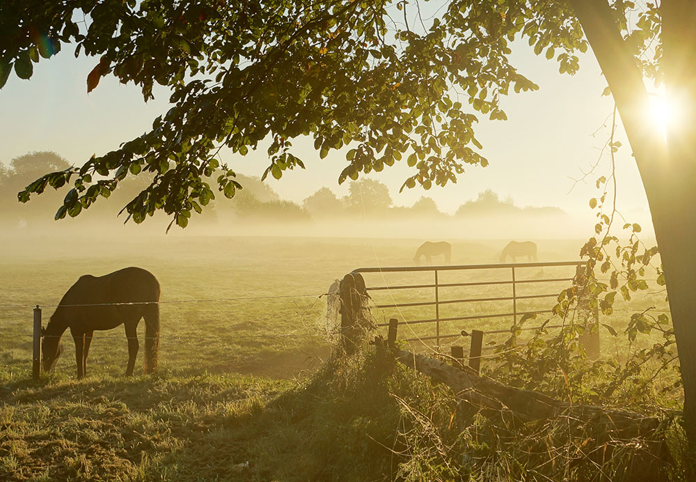 Mortgage Broker Cambridge