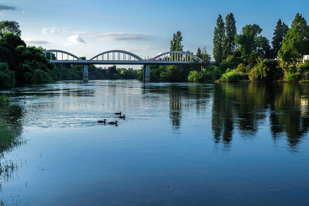 Mortgage Broker Hamilton