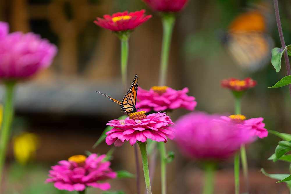 Mortgage Broker Matamata