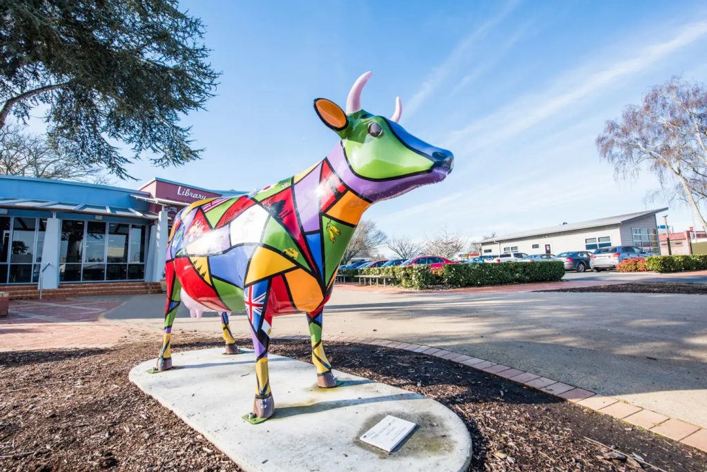 Mortgage Broker Morrinsville