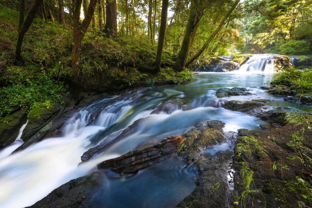 Mortgage Broker Morrinsville