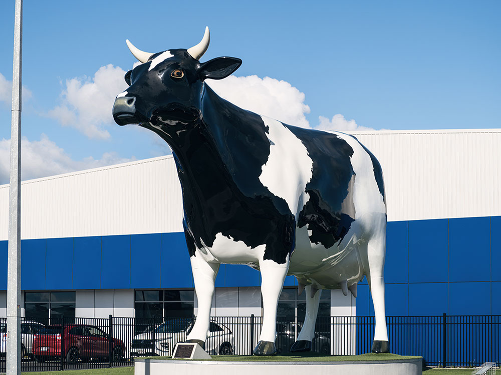 Mortgage Broker Morrinsville