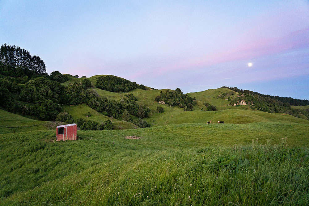 Mortgage Broker Otorohanga