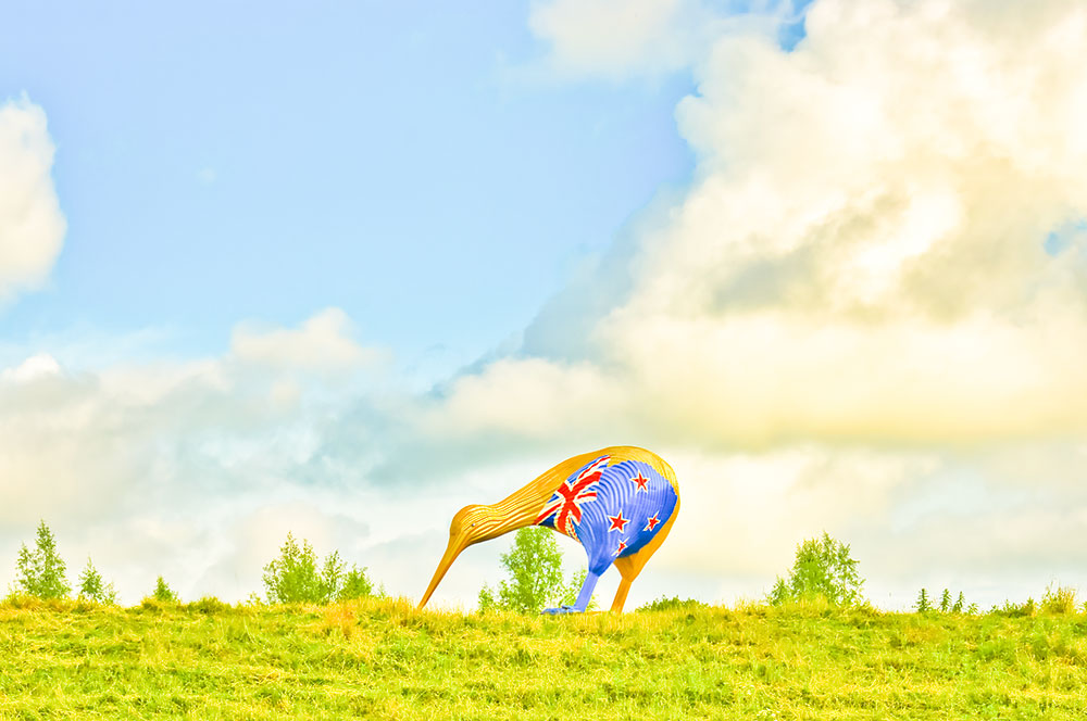 Mortgage Broker Otorohanga