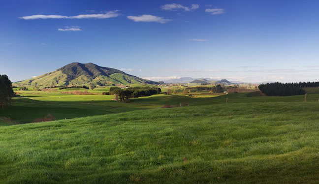 Mortgage Broker Te Awamutu